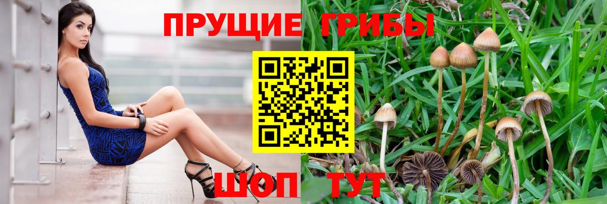 Галлюциногенные грибы GOLDEN TEACHER  Галлюциногенные грибы ЛСД  Вход с VPN  Стрежевой 